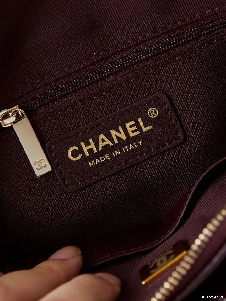 53907 Other EyeCatching Chanel Stachel Bags 0627